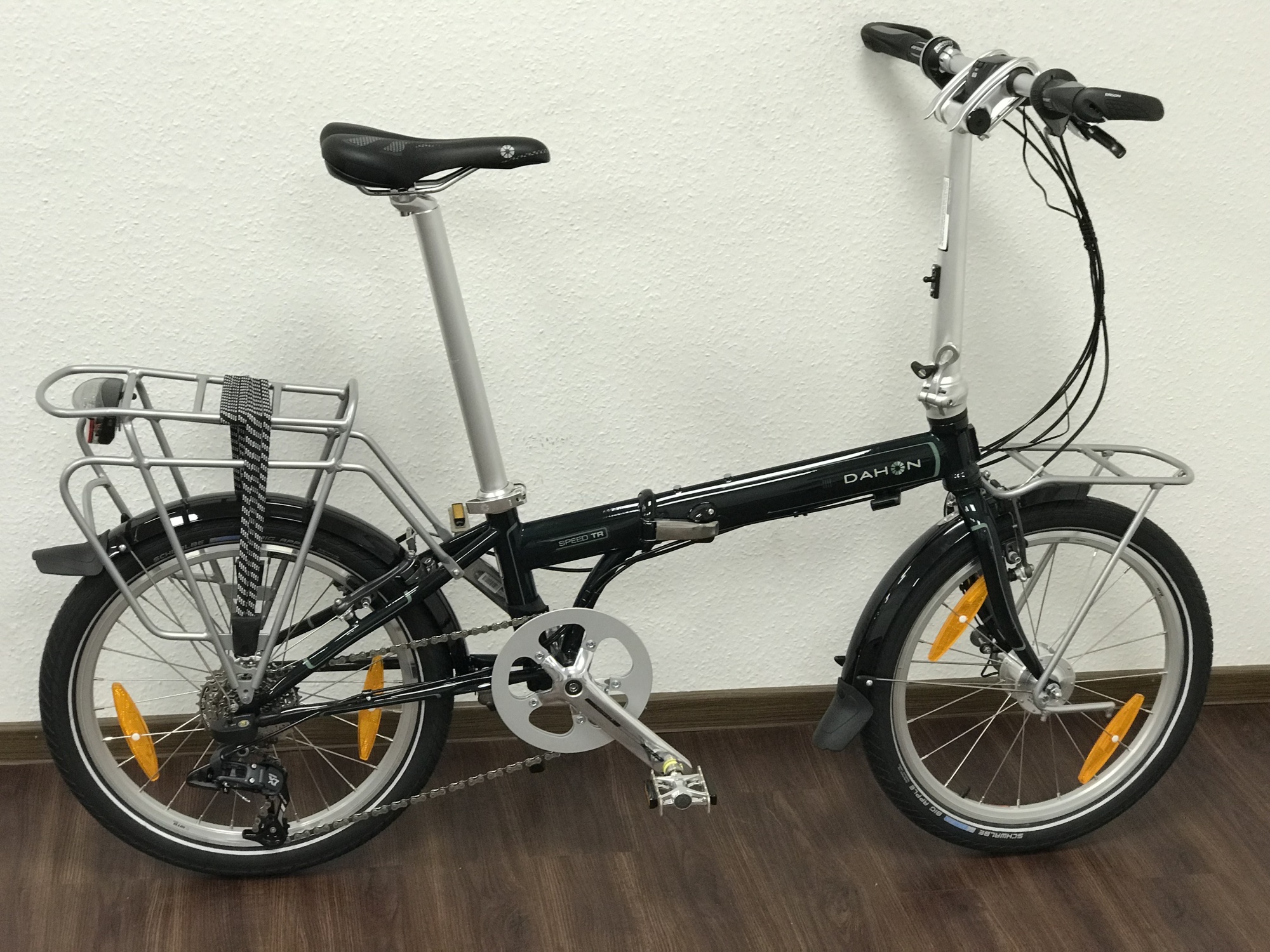 dahon o tern